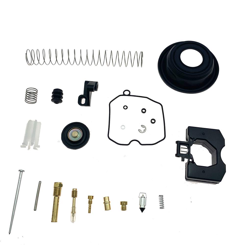 Carburetor Repair Rebuild Kit V223992