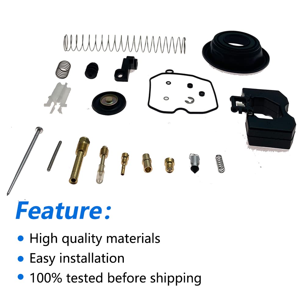 Carburetor Repair Rebuild Kit V223992