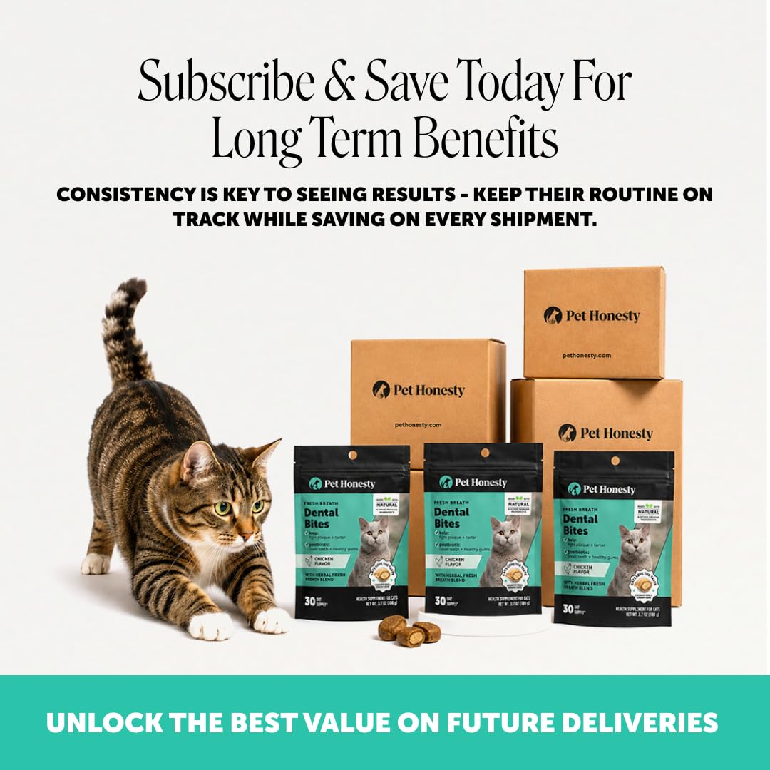 Cat Teeth Cleaning Bites Q79343