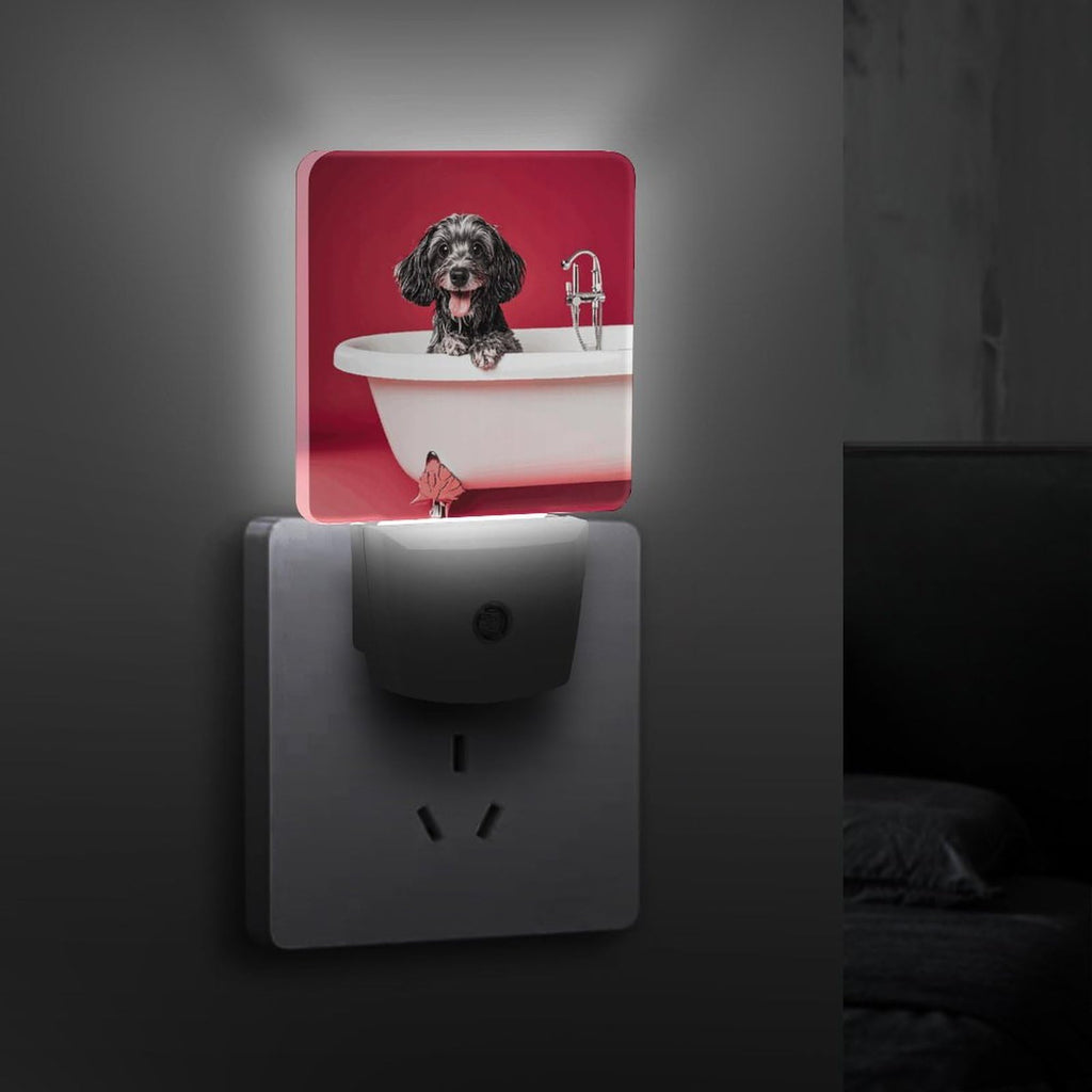 LED Night Lights Plug Into Wall with Dusk to Dawn Sensor W24174