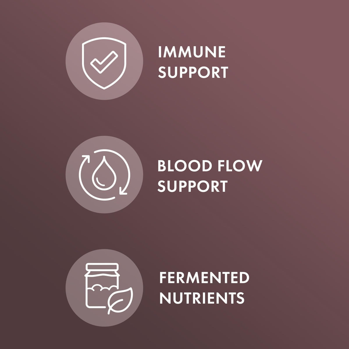 Fermented Black Garlic 60 Capsules P512