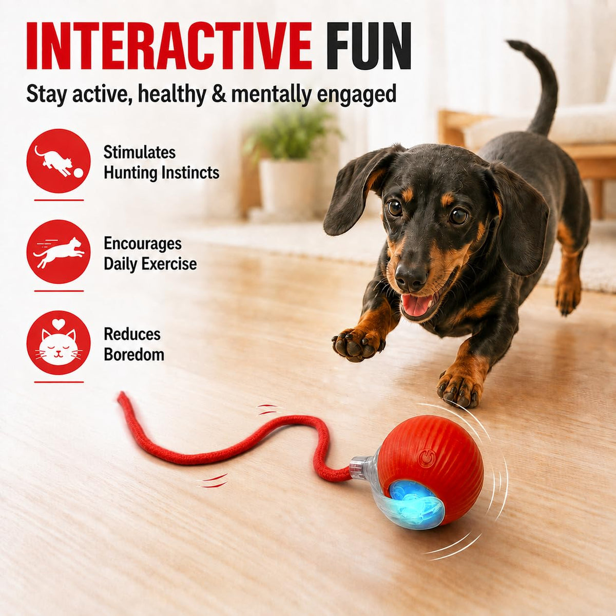 Automatic Rolling Electronic Cat Dog Toy B102
