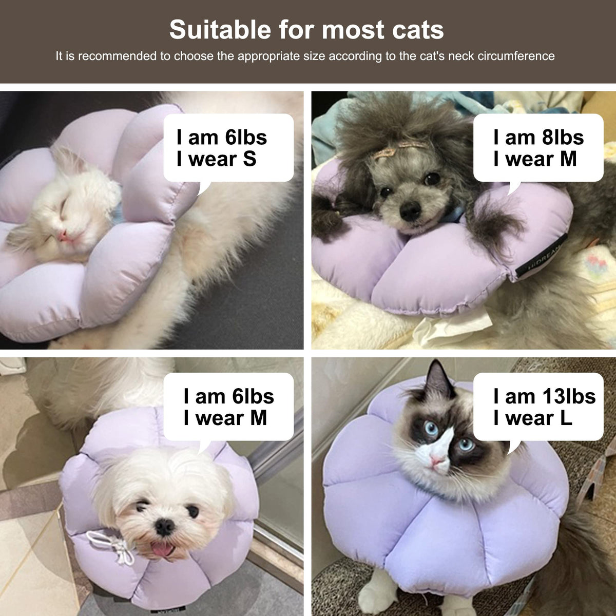 Waterproof Cat Recovery Cone Collar T6337