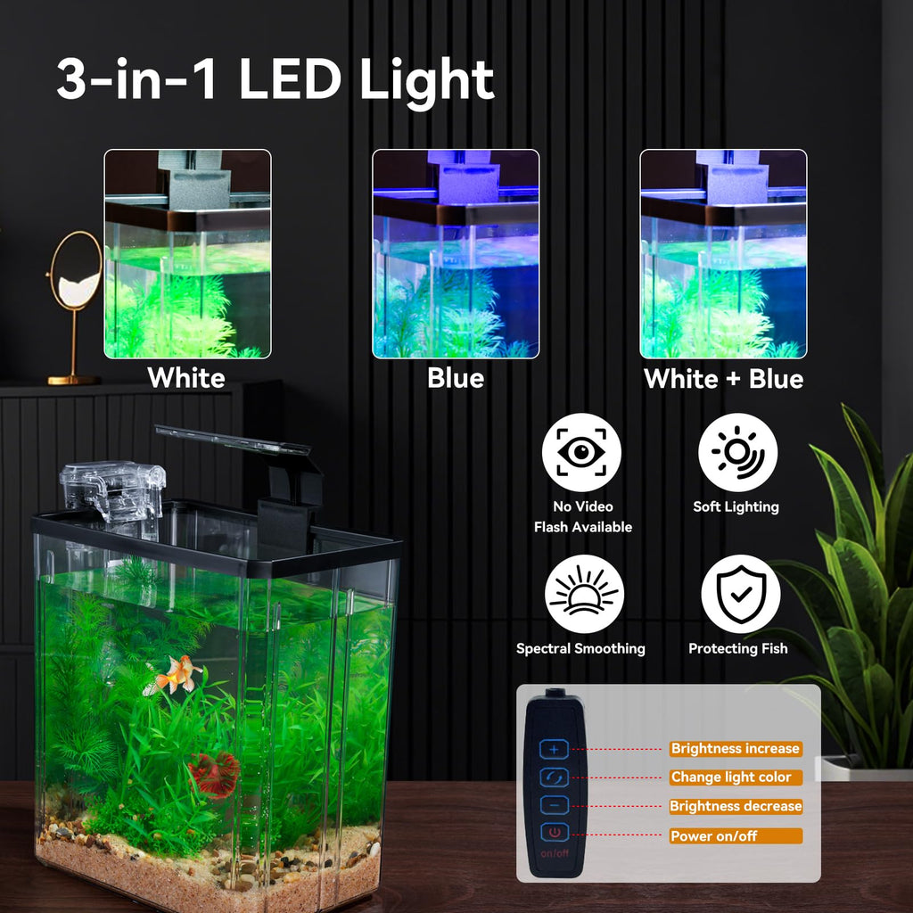 1.5 Gallon Aquarium Starter Kit with Filteration Lighting Z10775