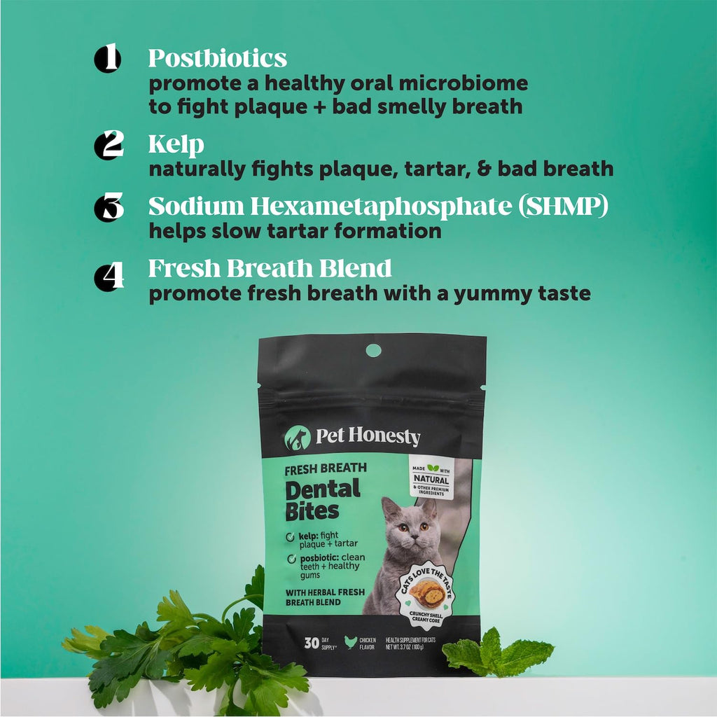 Cat Teeth Cleaning Bites Q79343