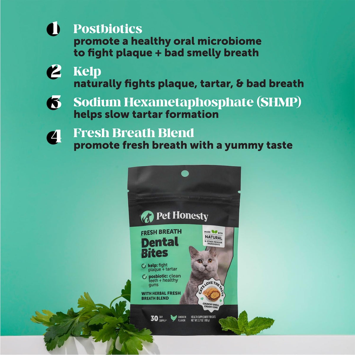 Cat Teeth Cleaning Bites Q79343