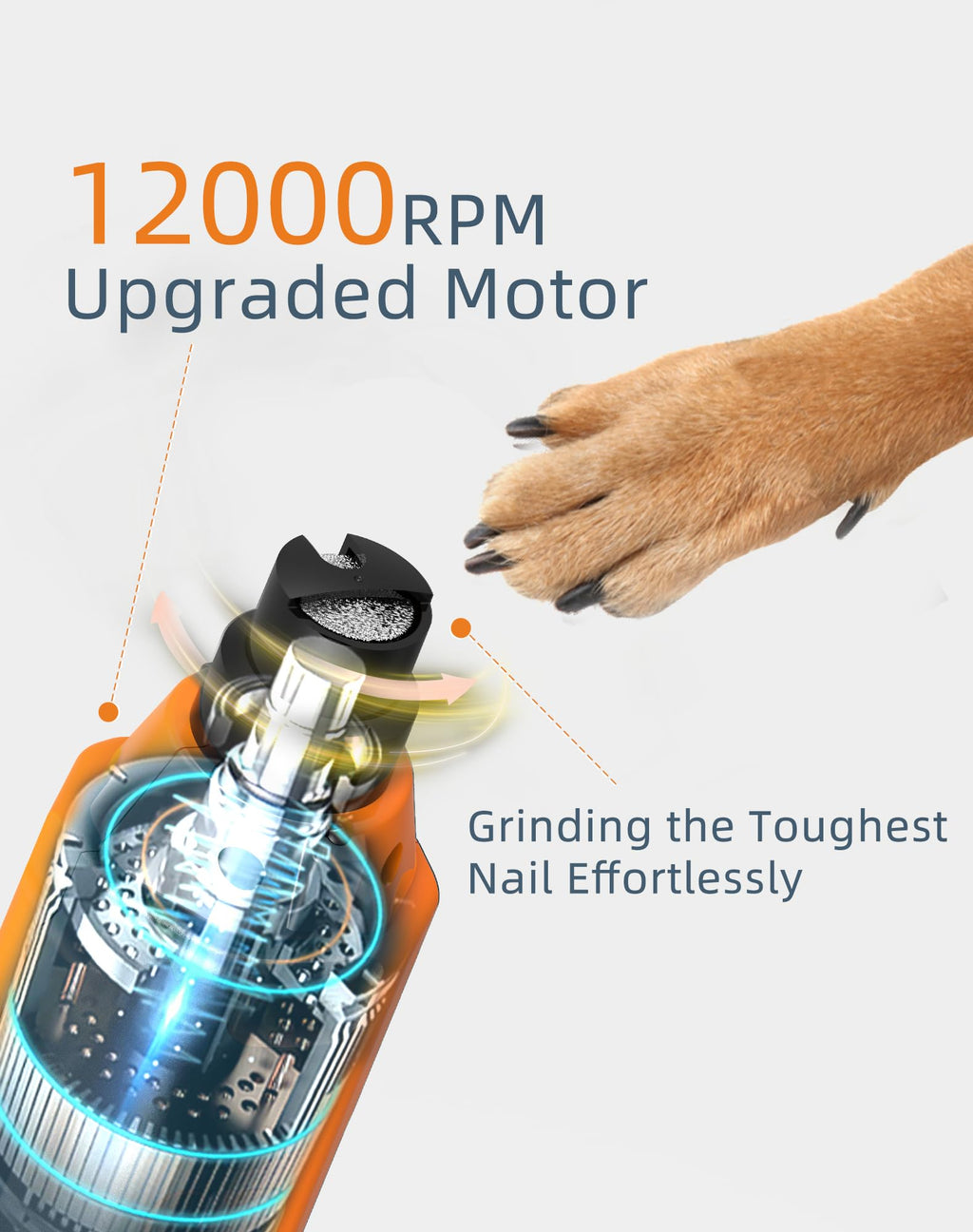 6-Speed Dog Nail Grinder with 2 LED Lights W557