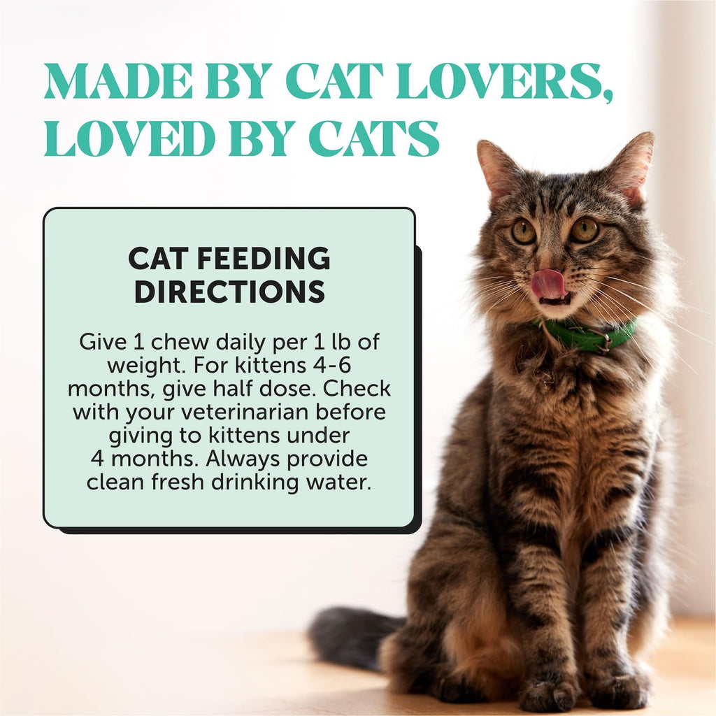 Cat Teeth Cleaning Bites Q79343