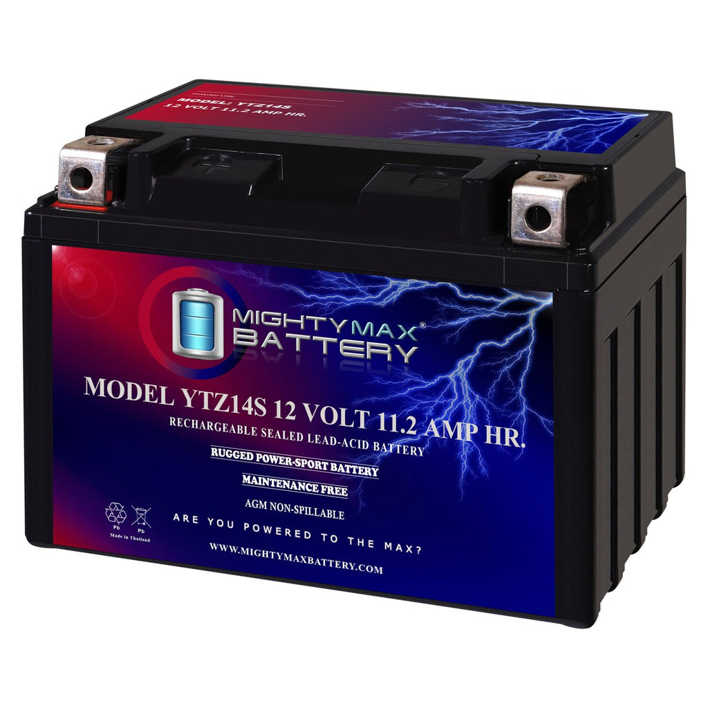 12V 11.2Ah Battery J204218