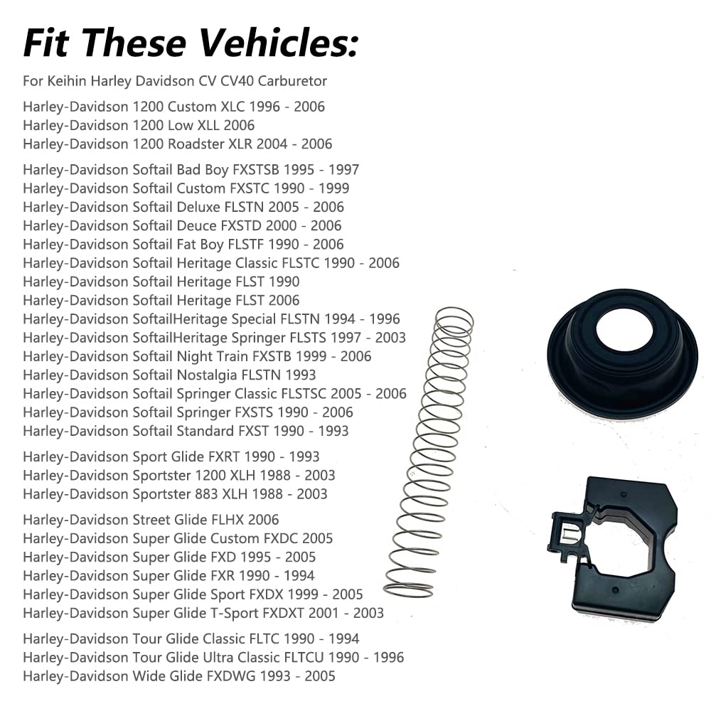 Carburetor Repair Rebuild Kit V223992