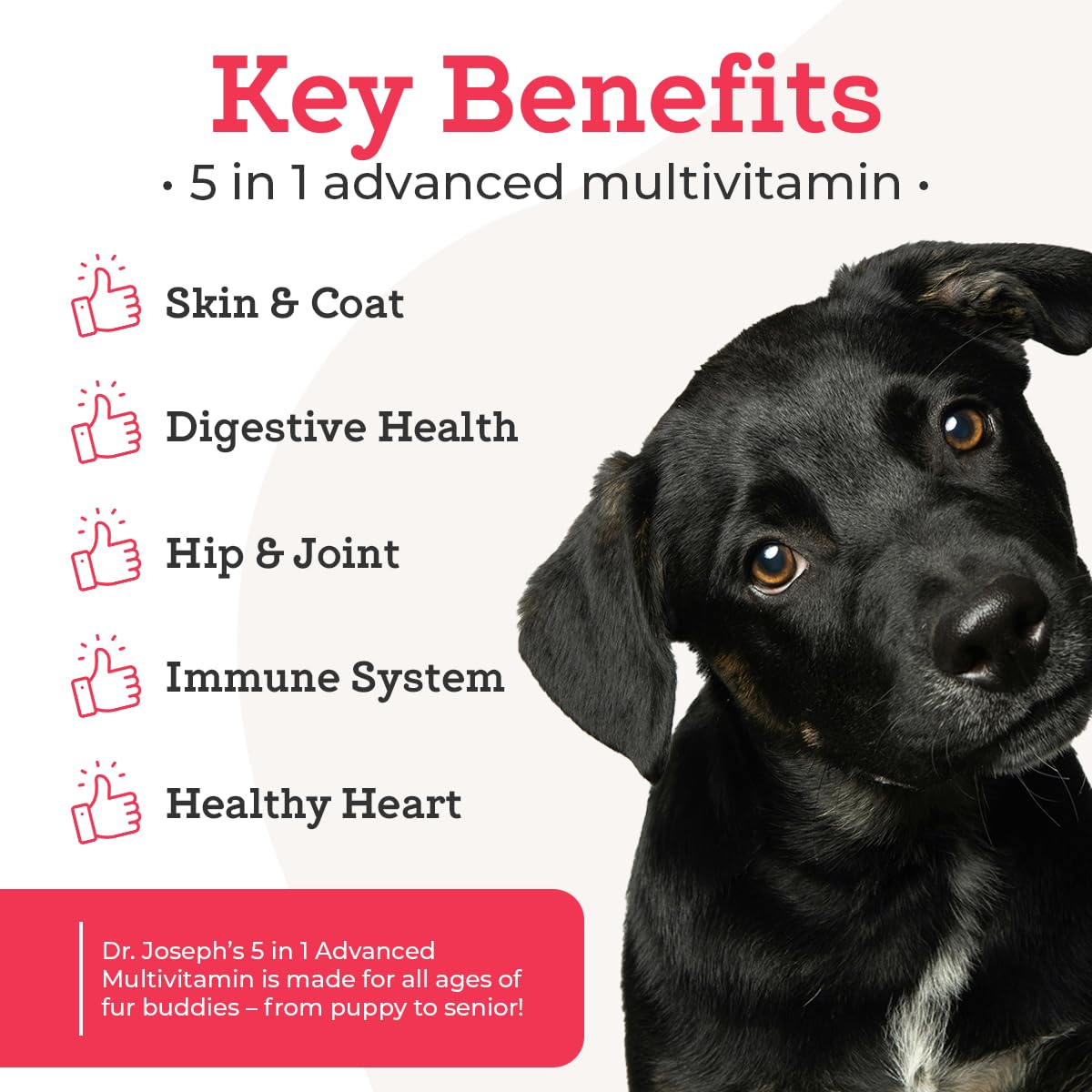 120 Count Dog Multivitamin Chew Y826899