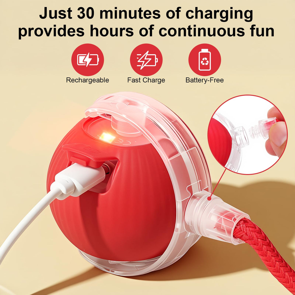 Automatic Rolling Electronic Cat Dog Toy B102