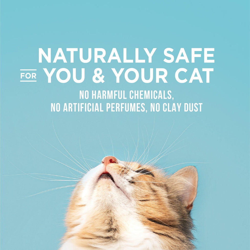 Cat Litter 15 lb Bag B9546