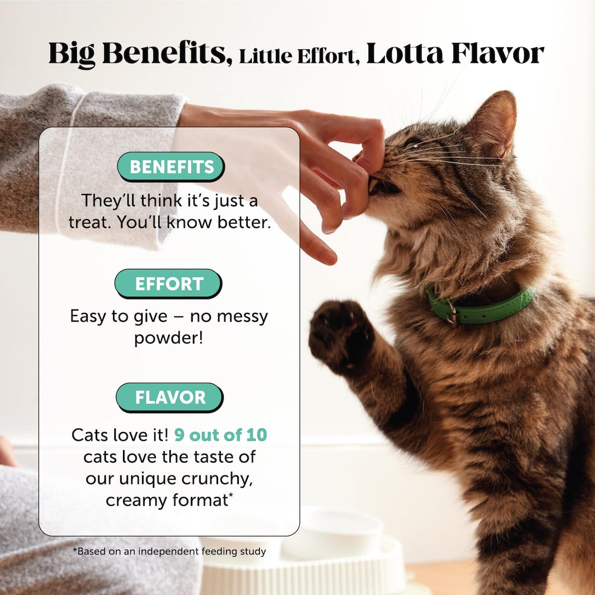 Cat Teeth Cleaning Bites Q79343
