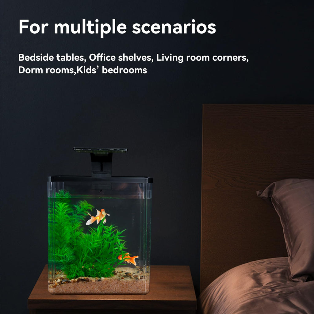 1.5 Gallon Aquarium Starter Kit with Filteration Lighting Z10775