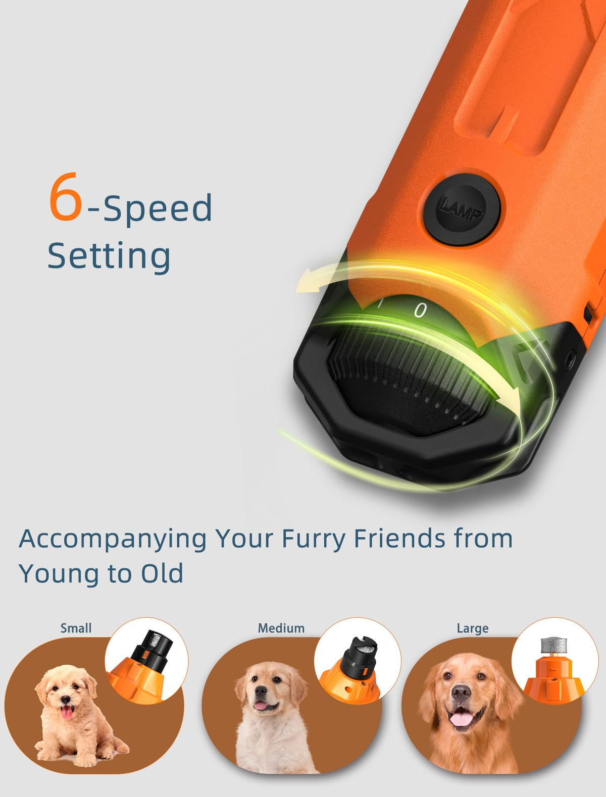6-Speed Dog Nail Grinder with 2 LED Lights W557