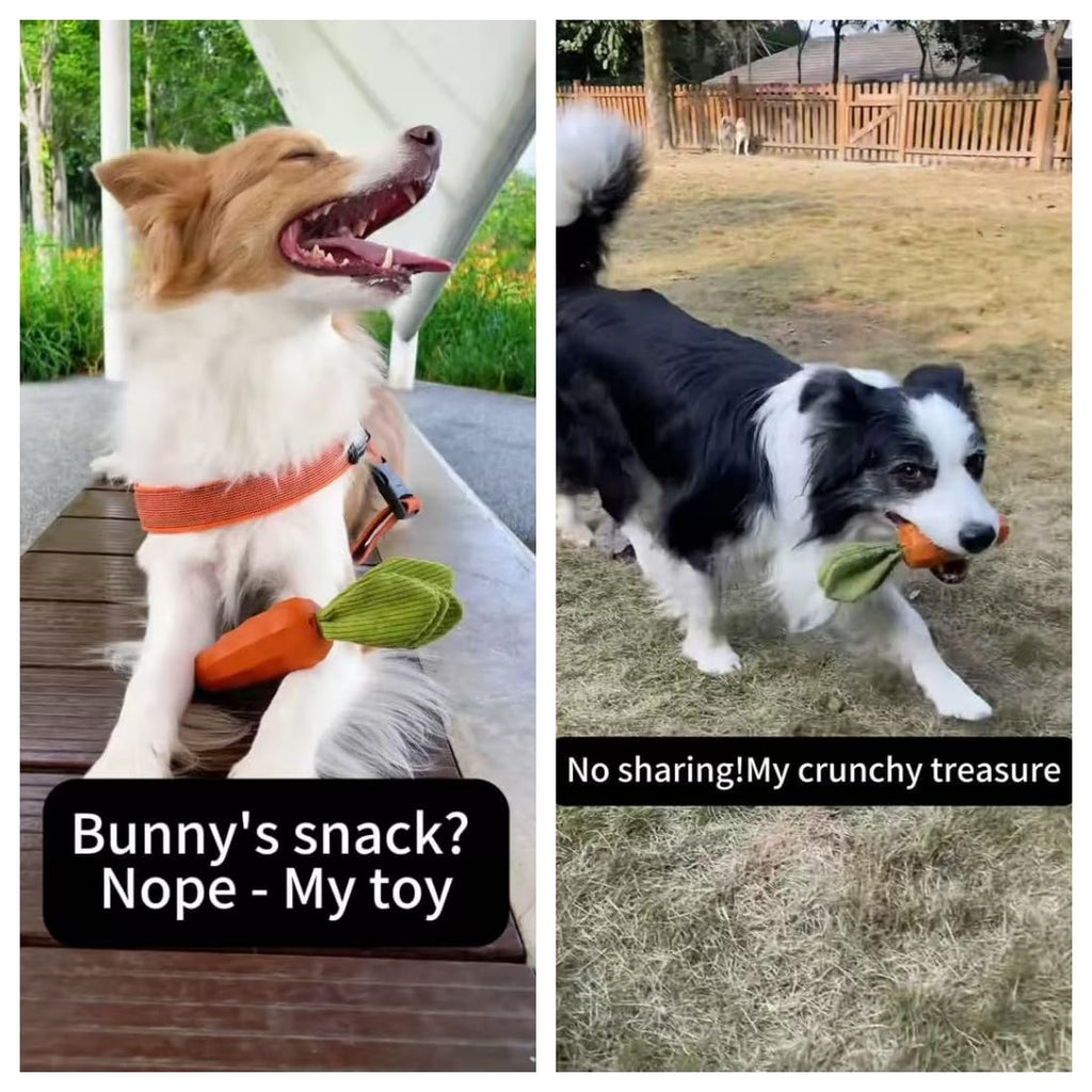 Rubber Squeaky Dog Chew Toys T609