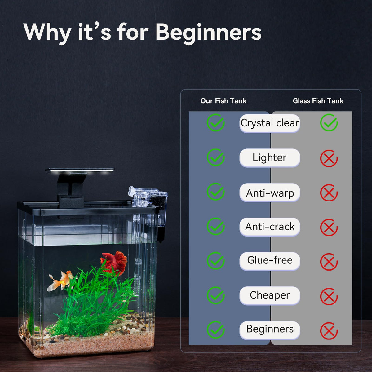 1.5 Gallon Aquarium Starter Kit with Filteration Lighting Z10775