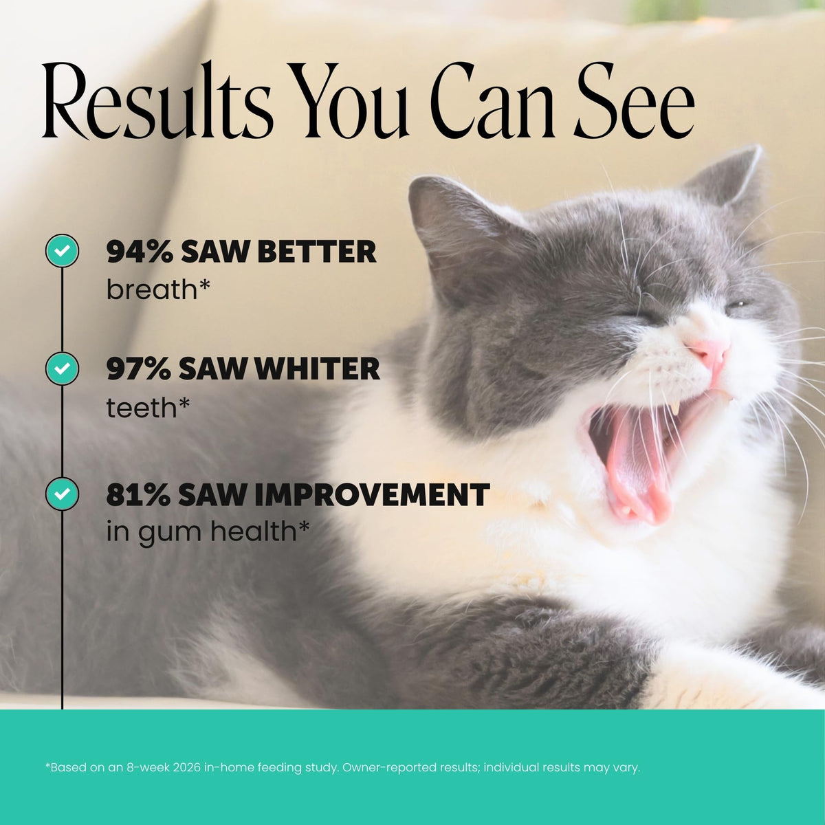 Cat Teeth Cleaning Bites Q79343