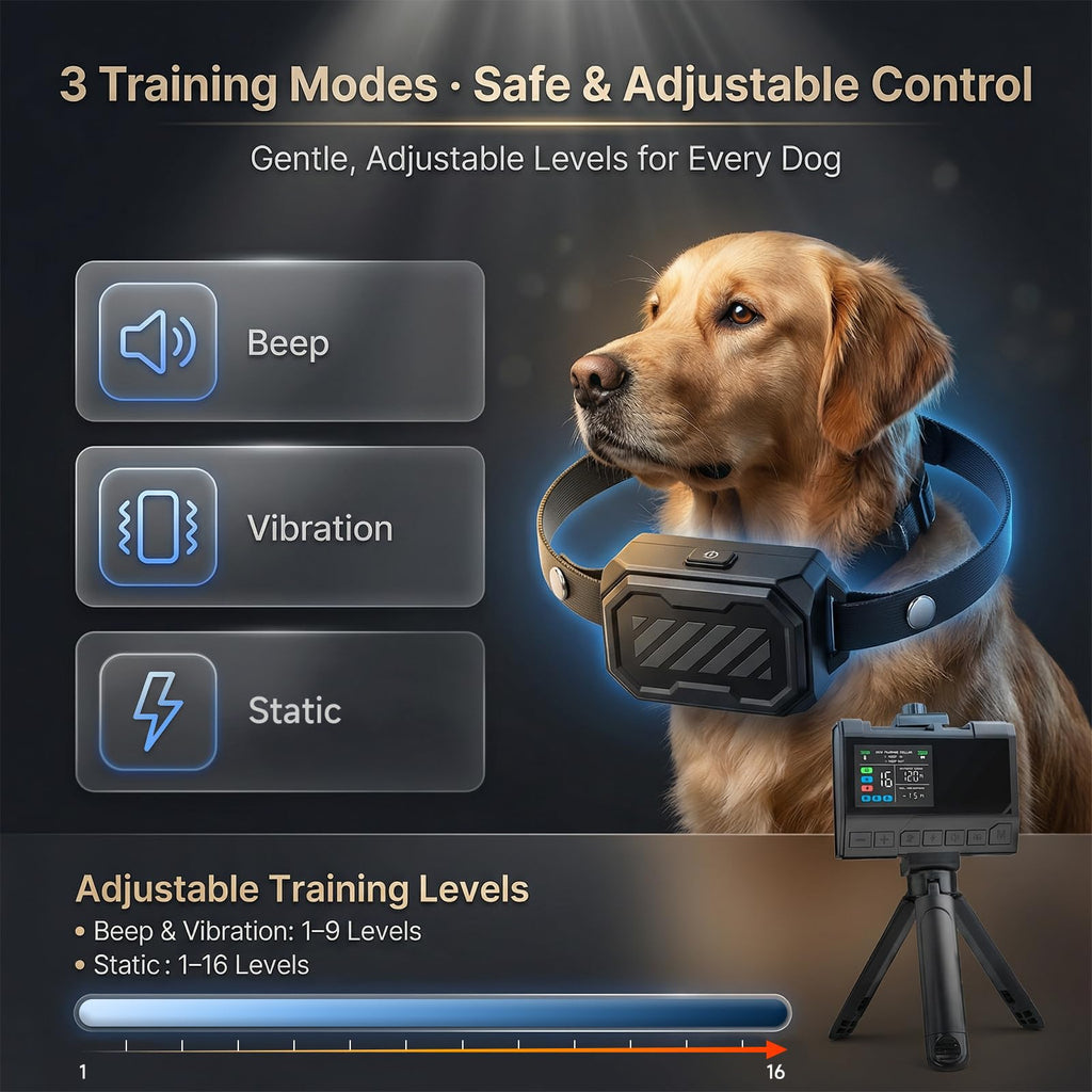 Wireless Dog Fence with Waterproof Collar, Up to 1 Acre Y19993