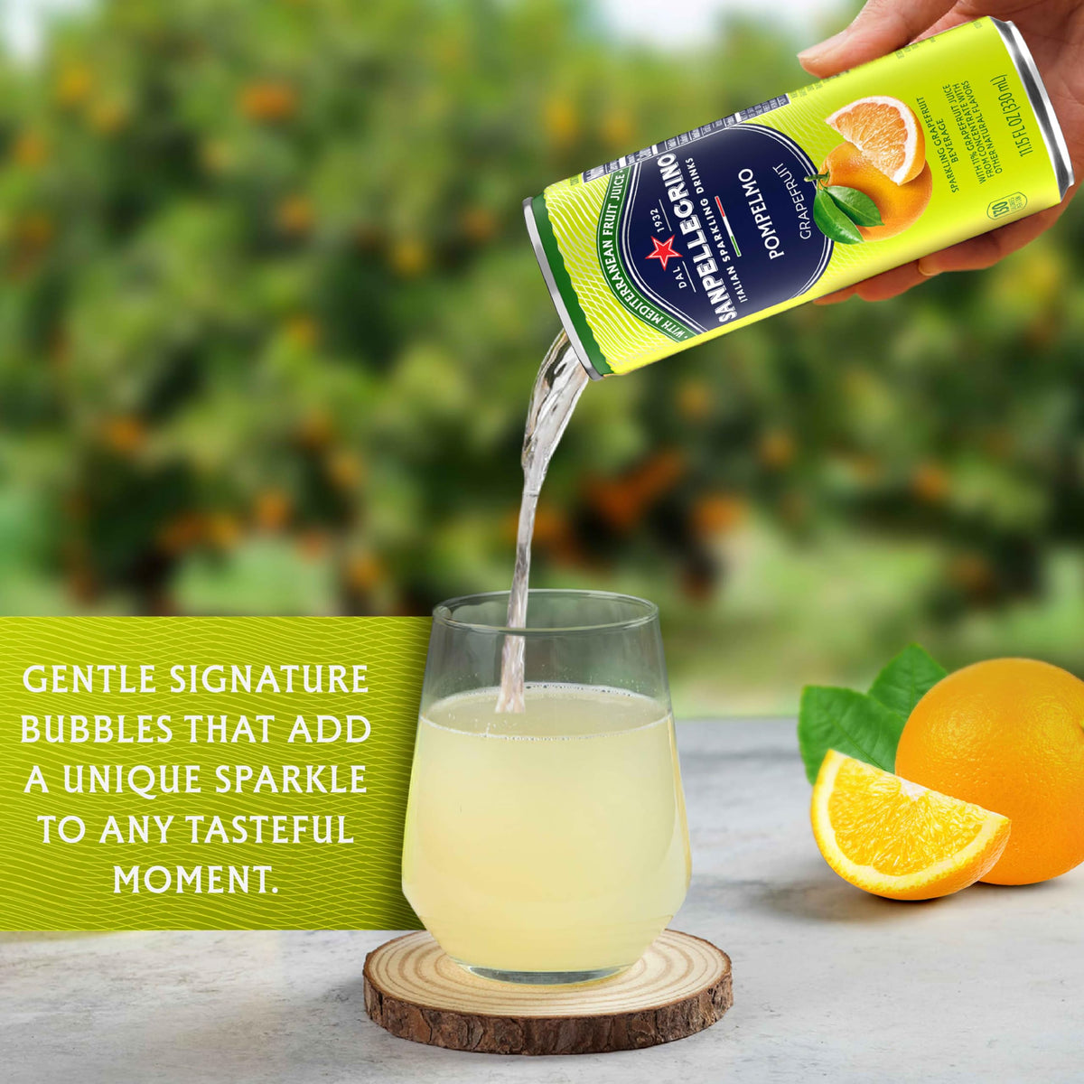 Grapefruit Soda 24 Pack B751167