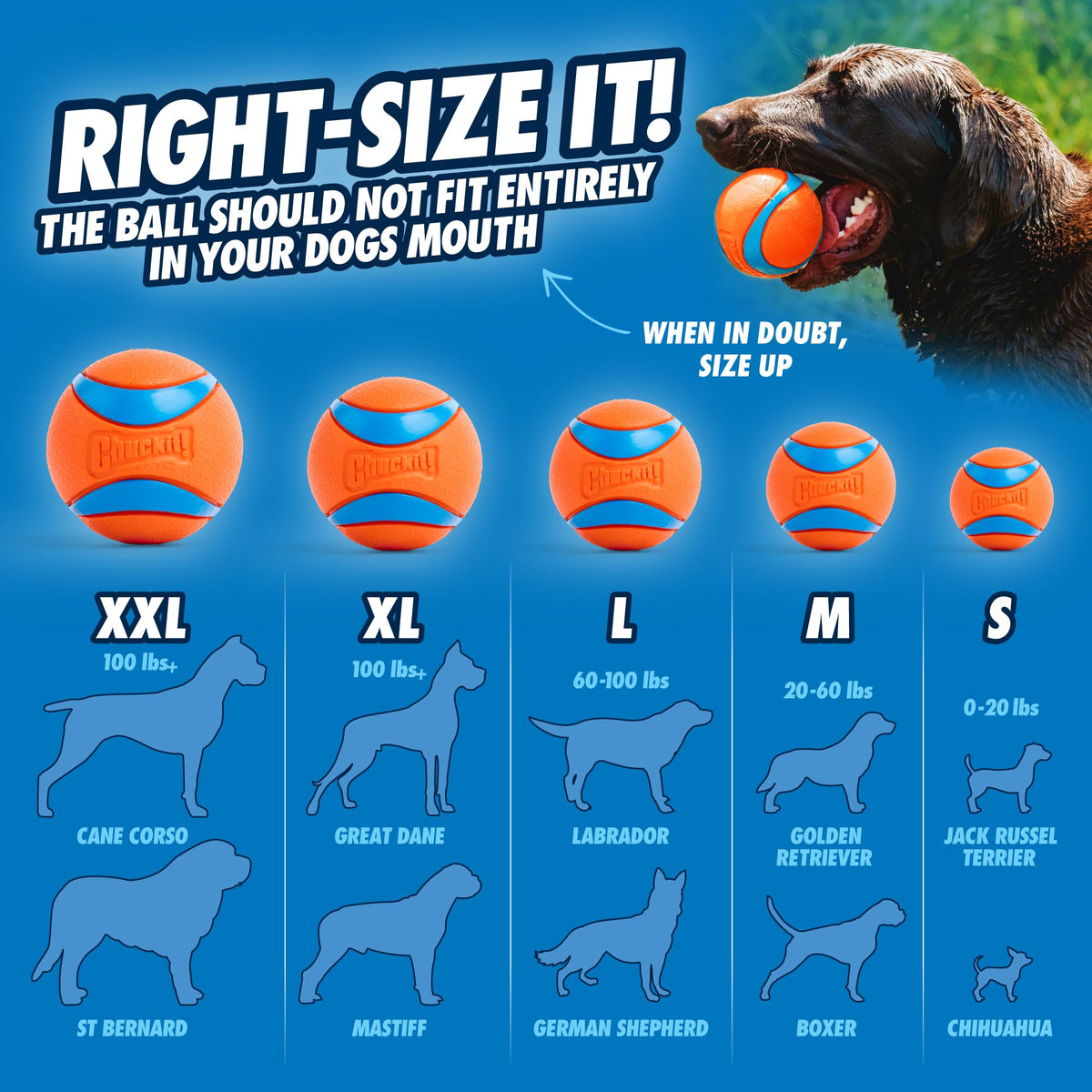 Dog Ball Launcher with 2.5in Ball F2789