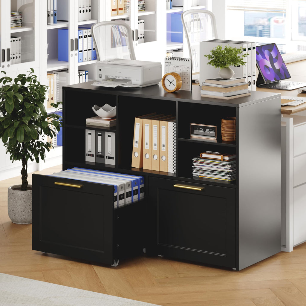 Black 2 Drawer Lateral File Cabinet with Open Storage Cubes I53628