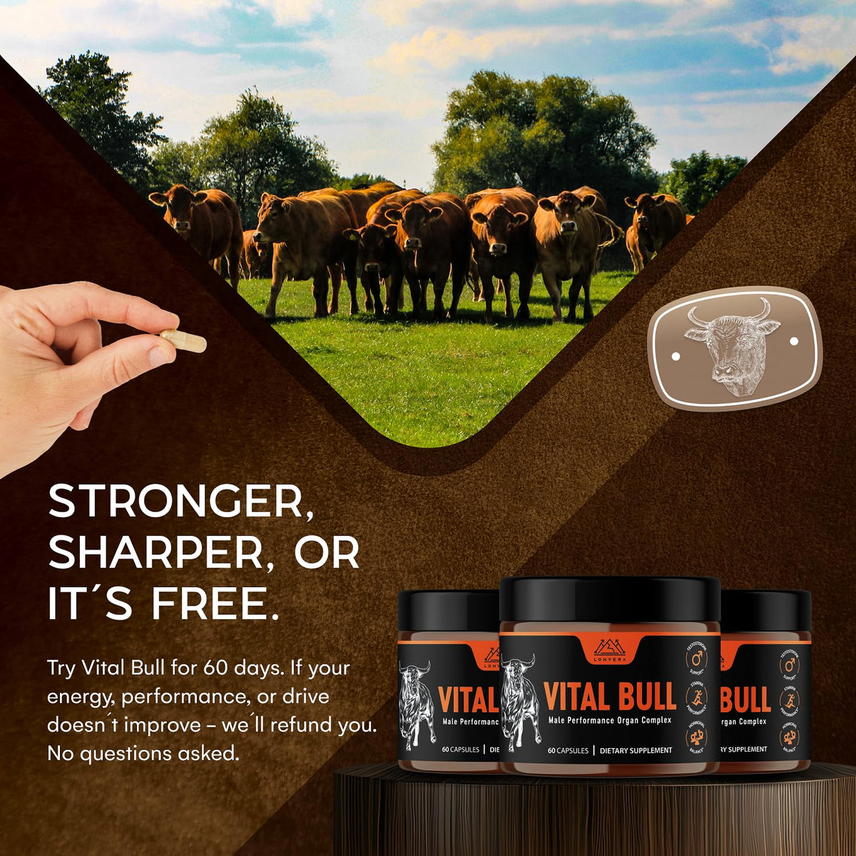 Grass Fed Beef Organ Capsules A94366