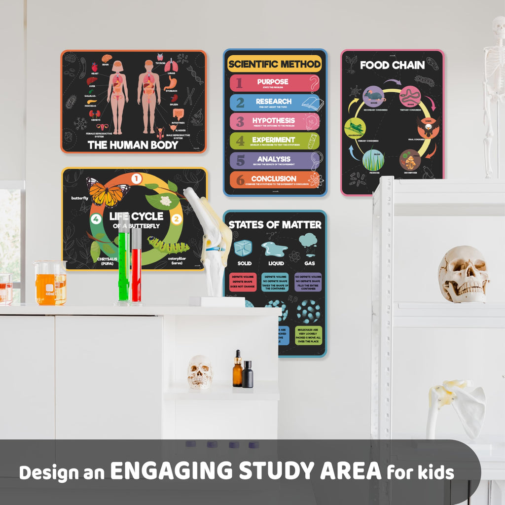Science Posters for Kids Classroom Decor Z52628