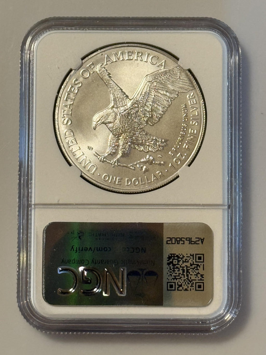 1 oz Silver Coin W9488