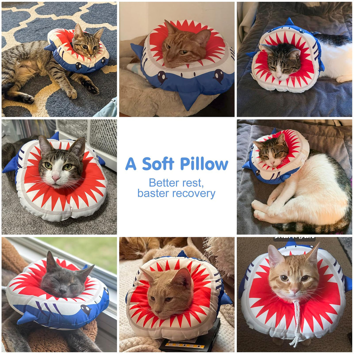 Soft Cat Recovery Cone Collar B444454