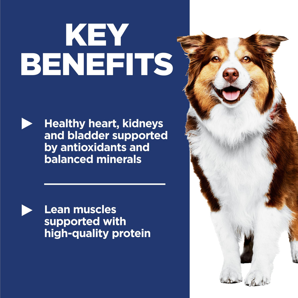 Dry Dog Food G76089