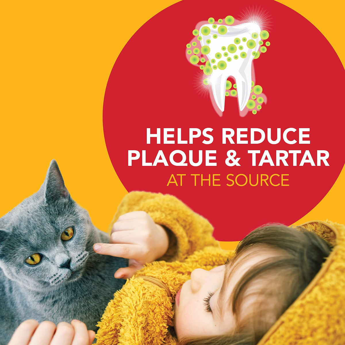 Cat Toothbrush and Toothpaste Kit Malt Flavor 2.5oz B3953
