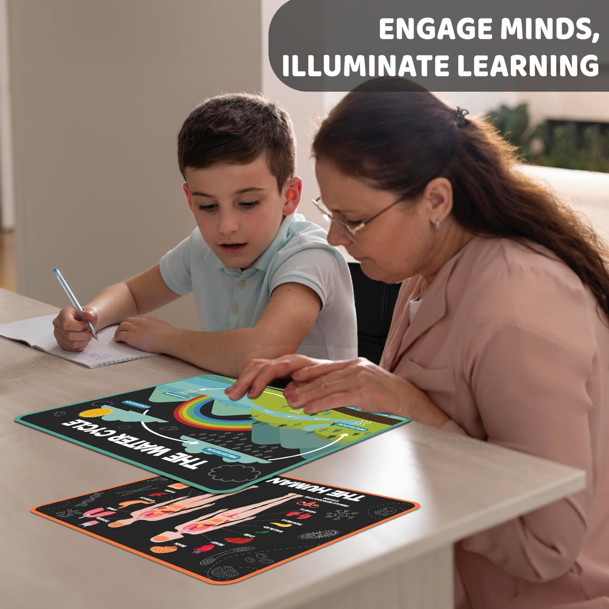 Science Posters for Kids Classroom Decor Z52628