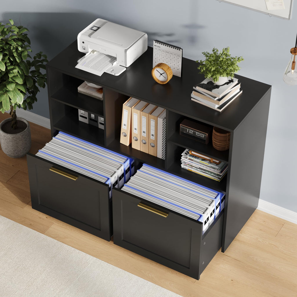 Black 2 Drawer Lateral File Cabinet with Open Storage Cubes I53628