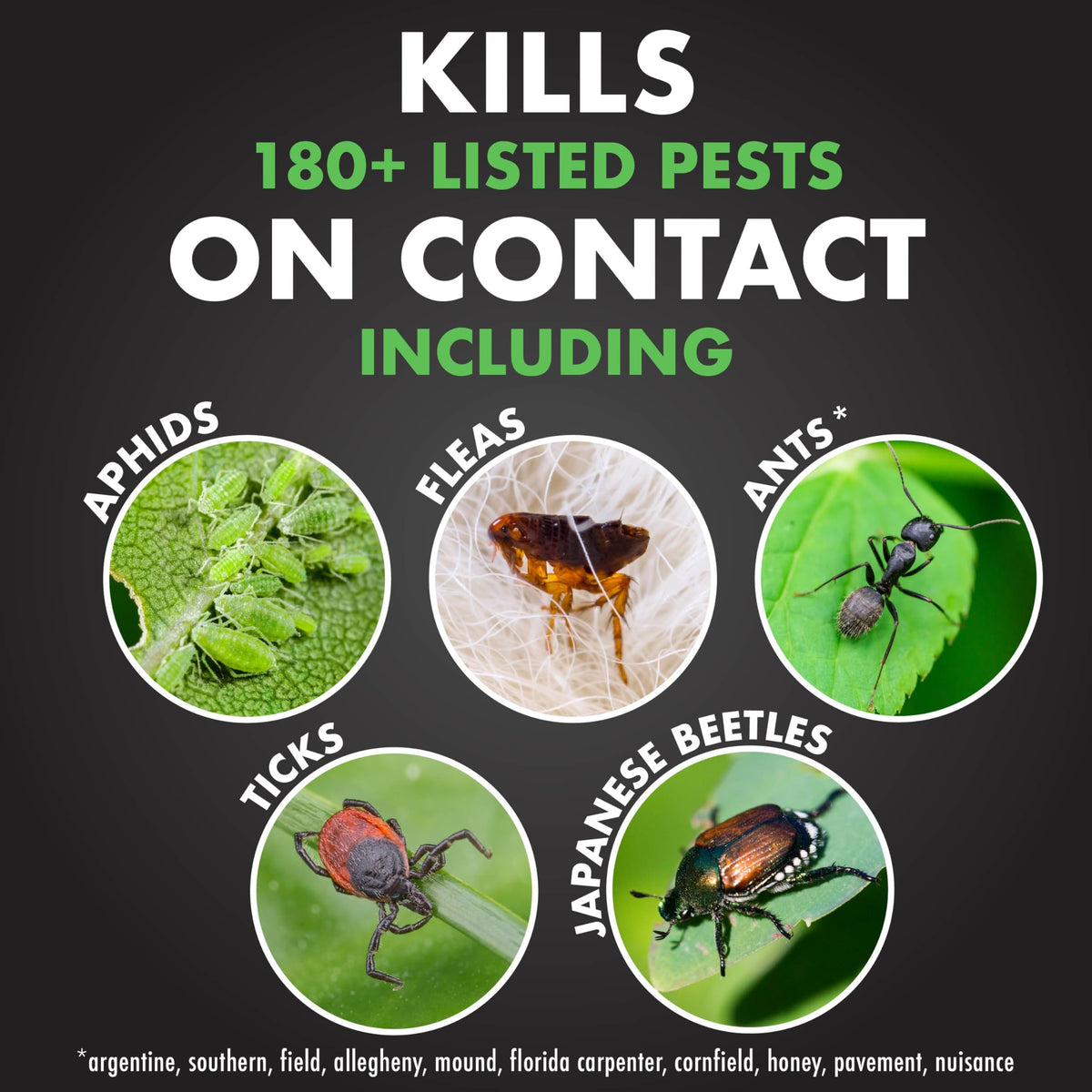 Insect Killer for Lawns & Landscapes 1Gal A46726