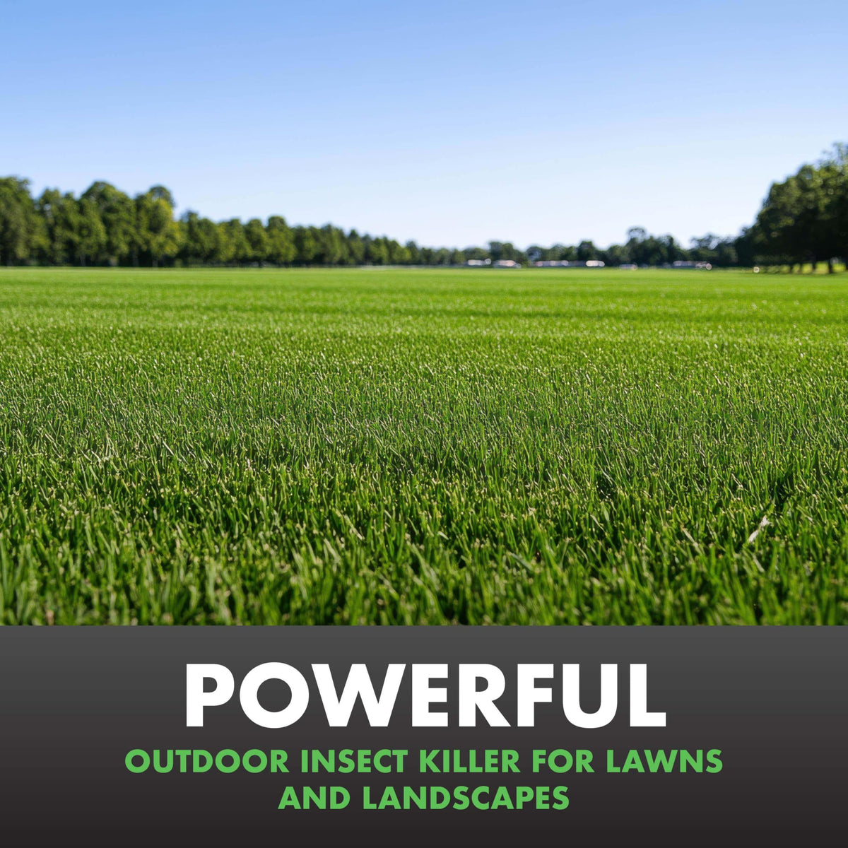 Insect Killer for Lawns & Landscapes 1Gal A46726
