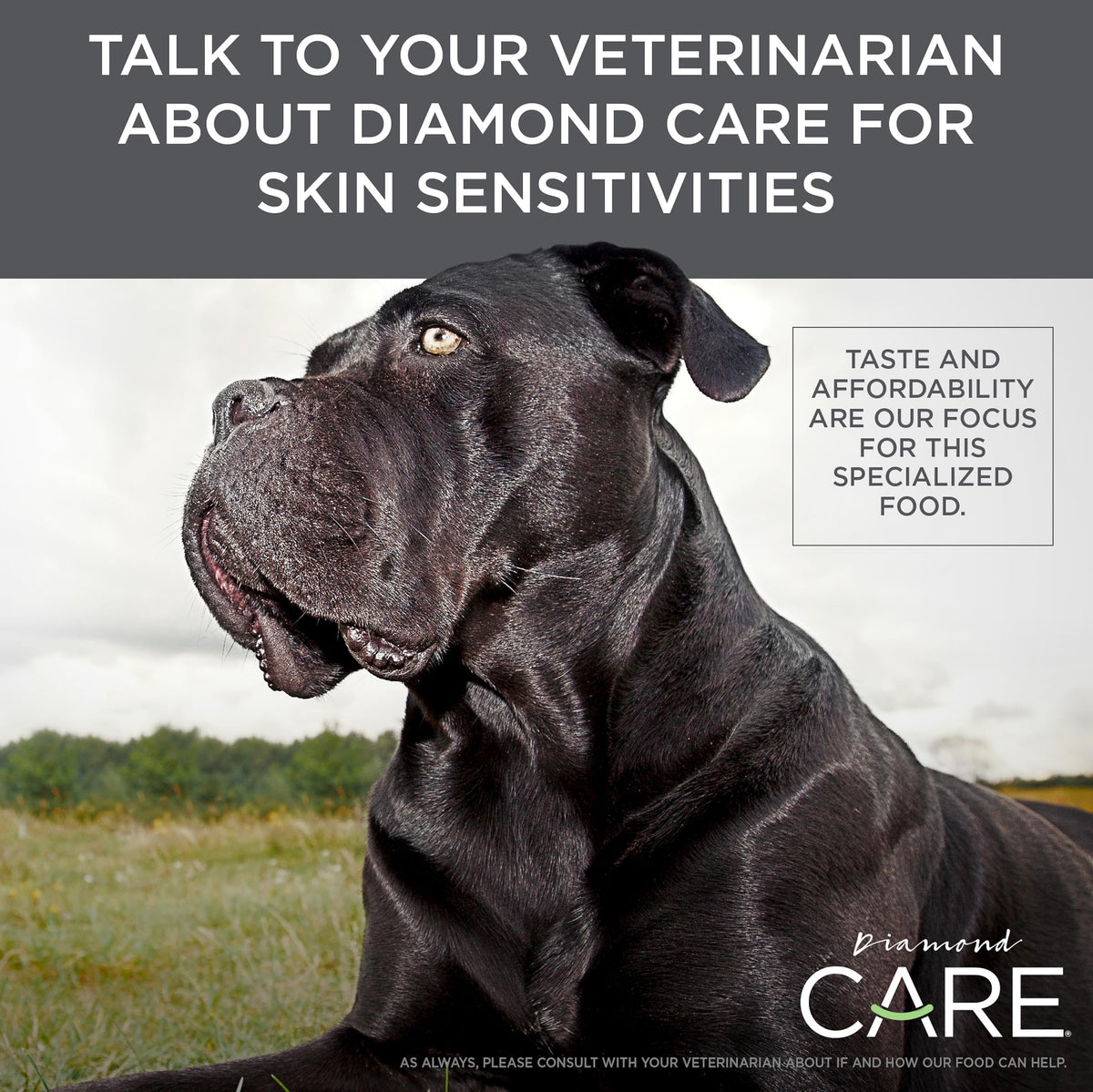 Sensitive Skin Dry Dog Food 25lb M873841