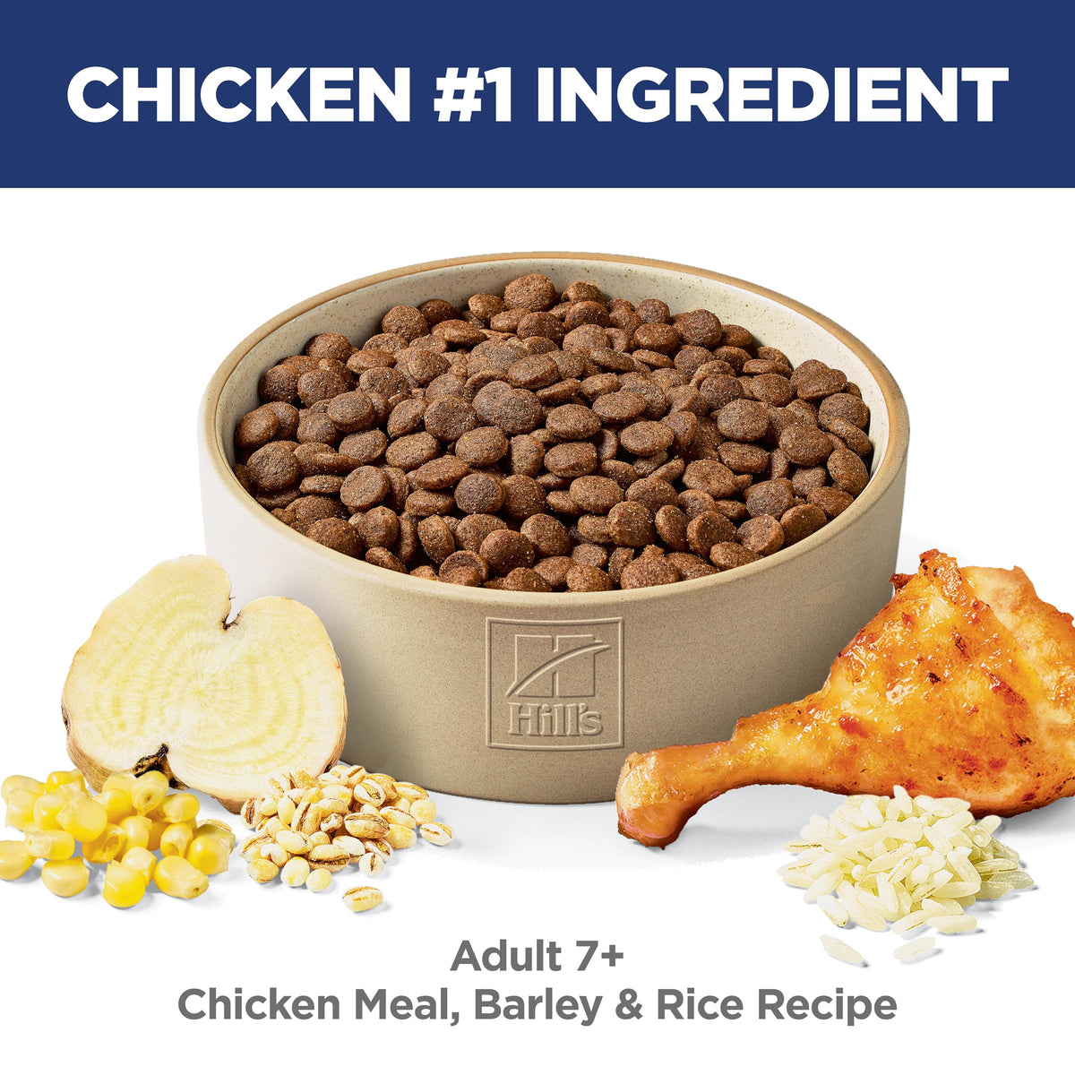 Dry Dog Food G76089