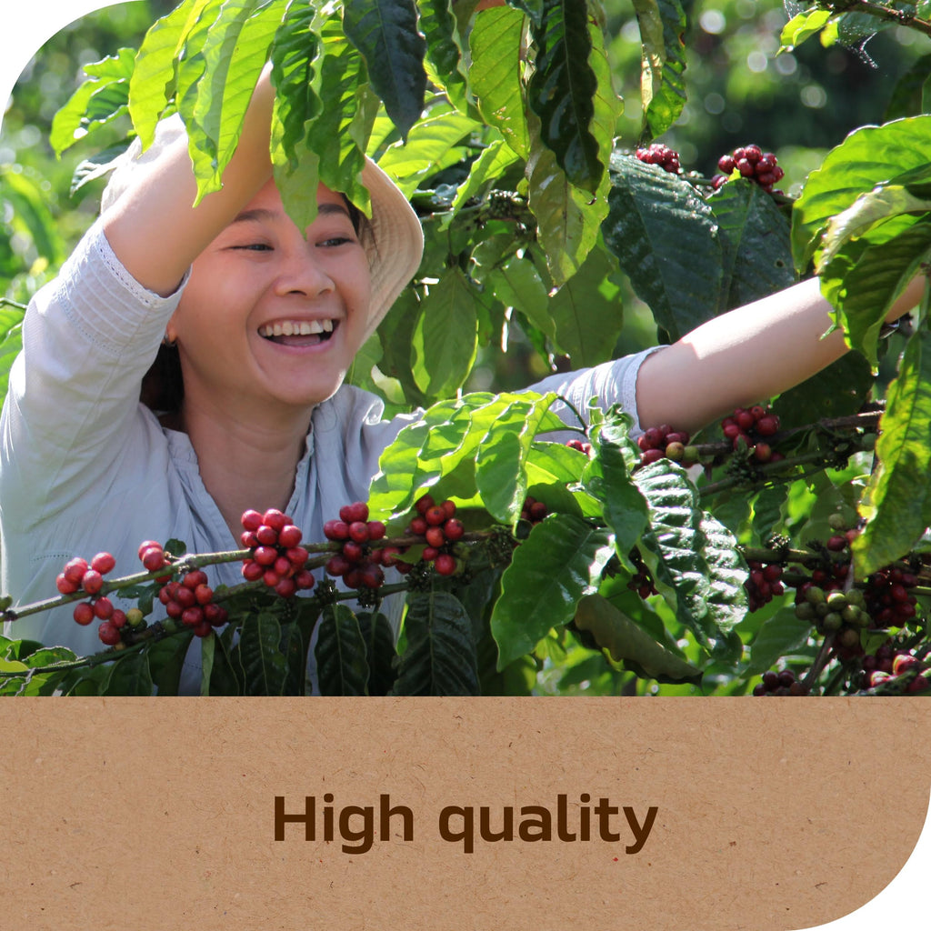 Instant Coffee 6 Packets V906